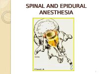 Spinal & Epidural Anaesthesia .pdf